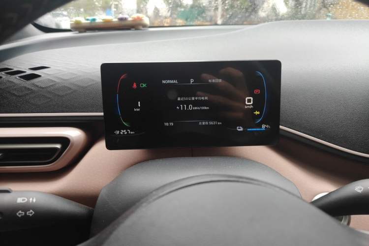 Used BYD Seagull 2023 Free Edition Odometer Close Up