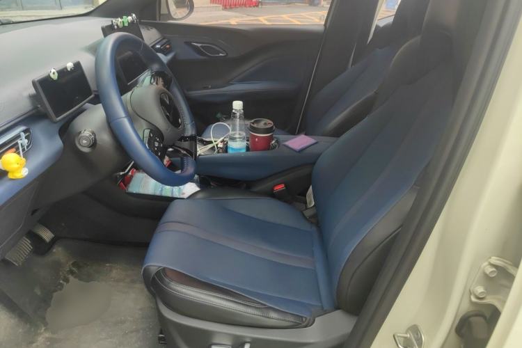 Used BYD Seagull 2023 Flying Edition Left Front Seat