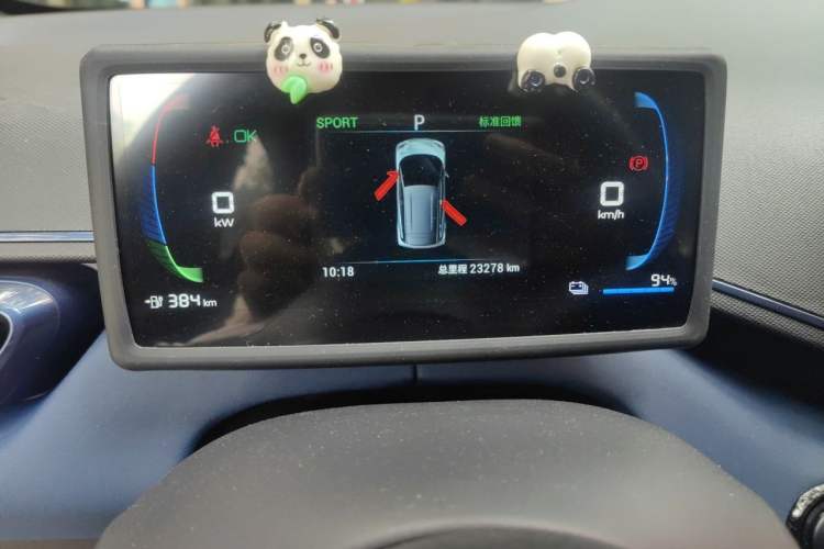 Used BYD Seagull 2023 Flying Edition Odometer Close Up