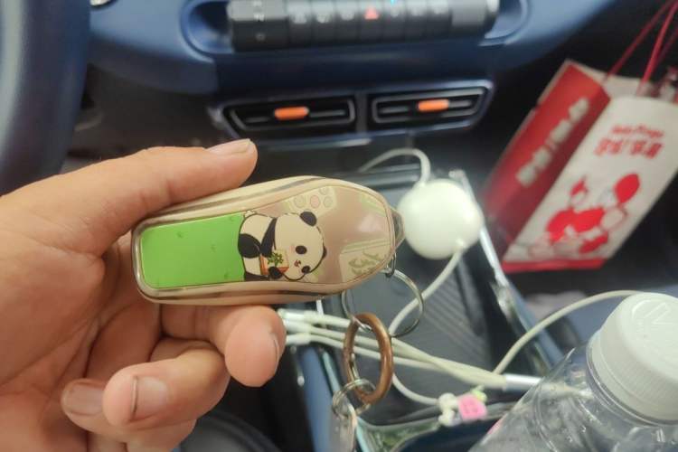 Used BYD Seagull 2023 Flying Edition Vehicle Key