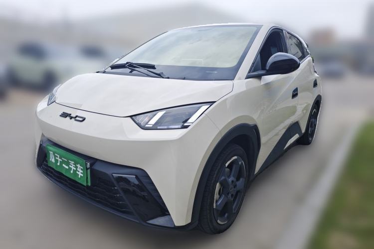 Used BYD Seagull 2023 Flying Edition Guazi used car, China used car export, Used car for sale, Used  cars, Cheapest cars for sale