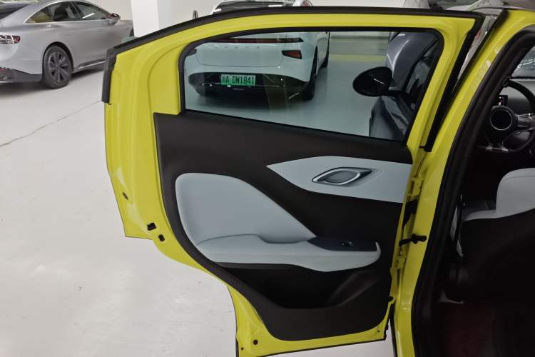 Used BYD Seagull 2023 Free Edition Left Rear Door Interior