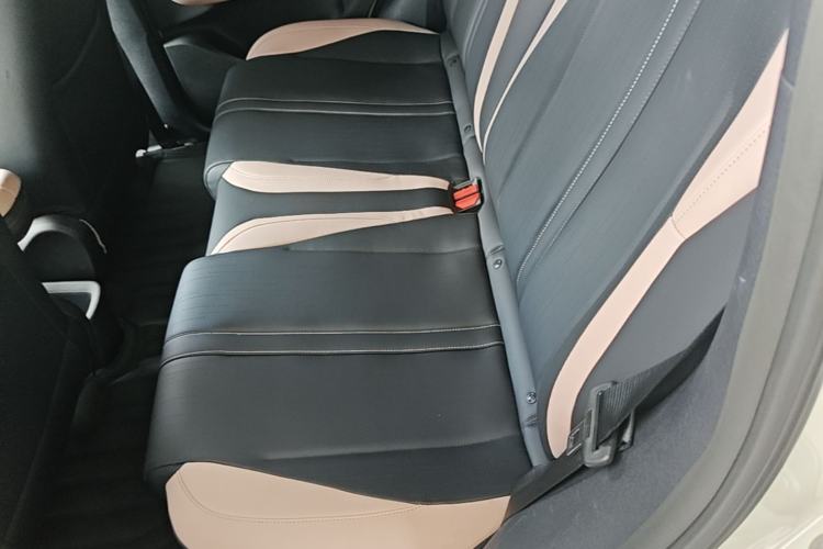 Used BYD Seagull 2023 Free Edition Left Rear Seat