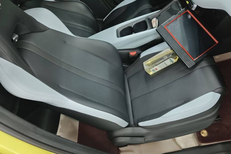 Used BYD Seagull 2023 Free Edition Right Front Seat