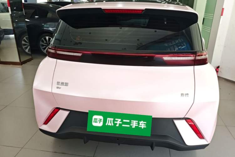 Used BYD Seagull 2023 Free Edition Rear