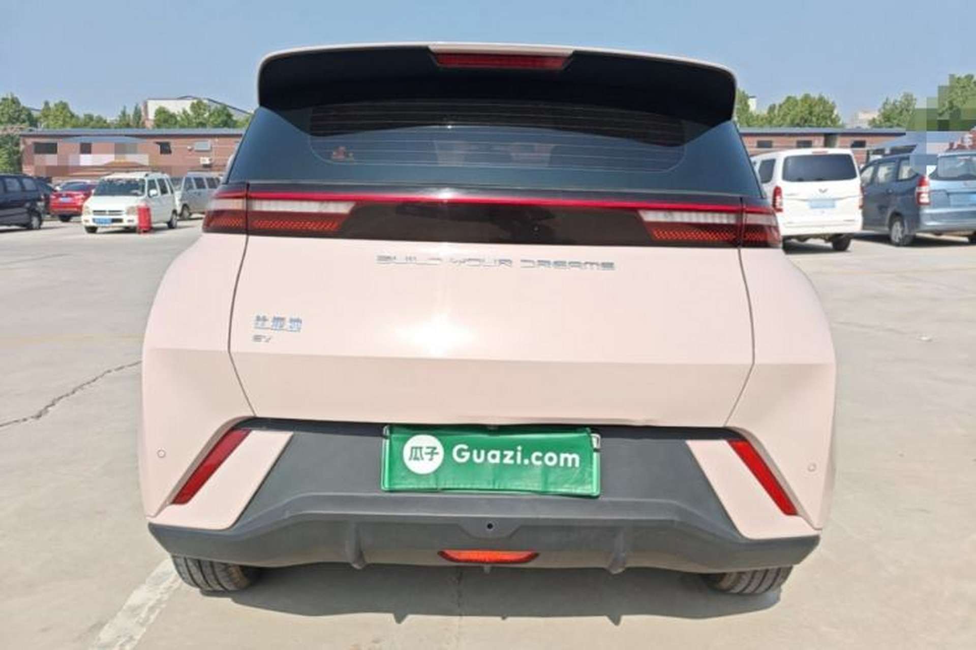 Used BYD Seagull 2023 Free Edition Rear