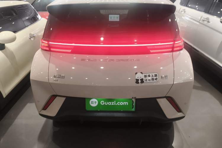 Used BYD Seagull 2023 Free Edition Rear