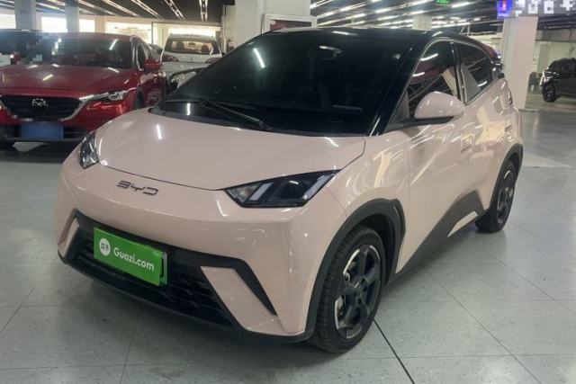 Used BYD Seagull 2023 Free Edition