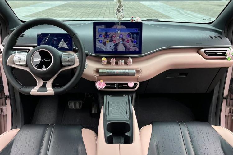 Used BYD Seagull 2023 Flying Edition Audio And AC Panel