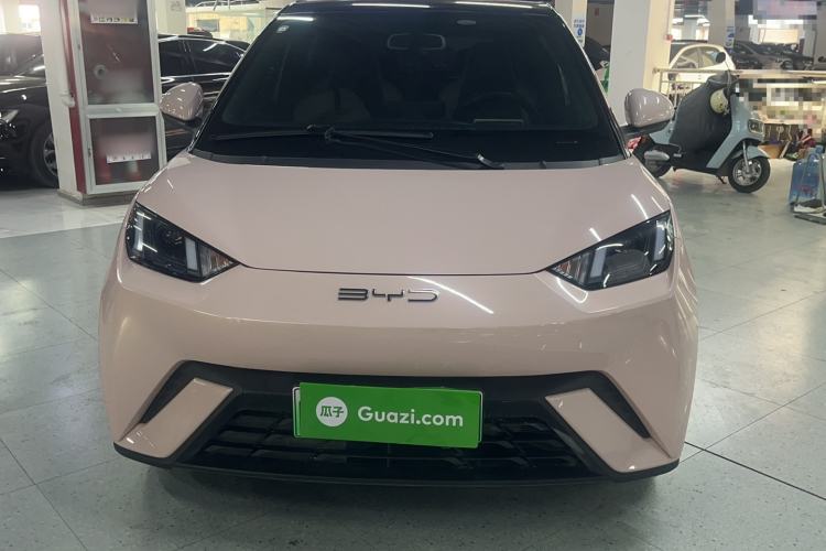 Used BYD Seagull 2023 Free Edition Exterior 1