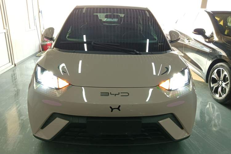 Used BYD Seagull 2023 Flying Edition Exterior 1