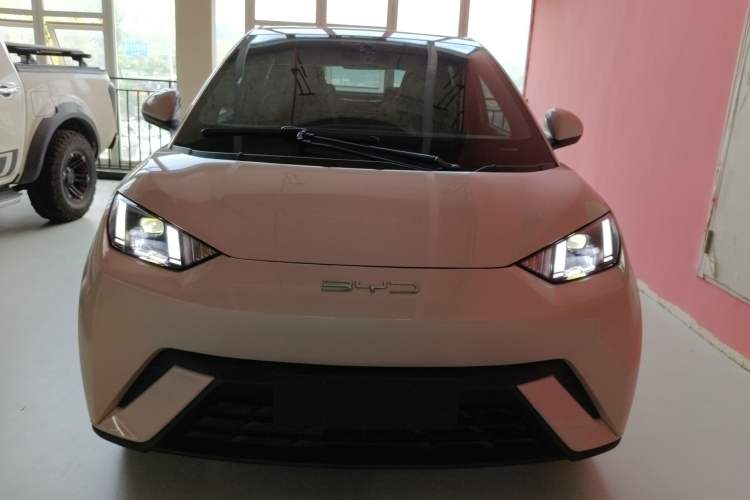 Used BYD Seagull 2023 Flying Edition Exterior 1
