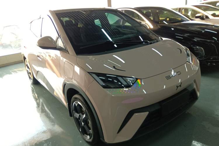 Used BYD Seagull 2023 Flying Edition Exterior 2