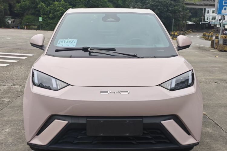 Used BYD Seagull 2023 Flying Edition Exterior 2