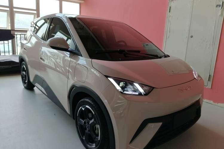 Used BYD Seagull 2023 Flying Edition Exterior 2