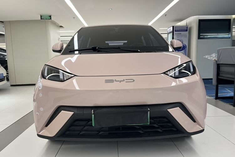 Used BYD Seagull 2023 Flying Edition Exterior 2