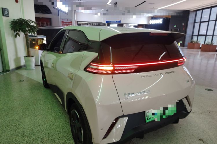 Used BYD Seagull 2023 Flying Edition Exterior 2