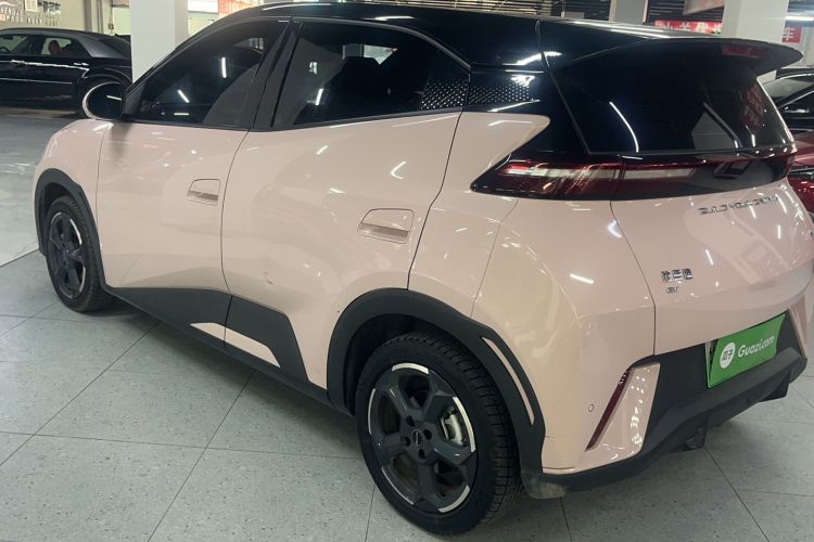 Used BYD Seagull 2023 Free Edition Exterior 4