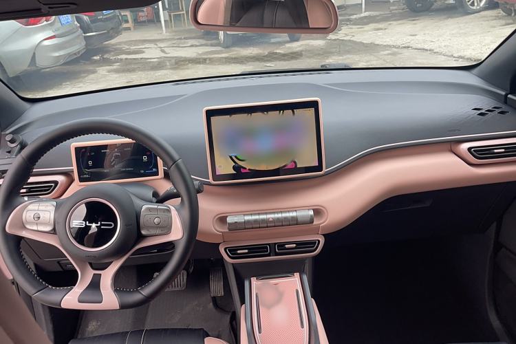 Used BYD Seagull 2023 Free Edition Gear Lever