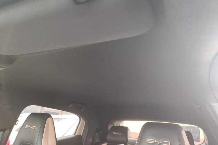 Used BYD Seagull 2023 Free Edition Headliner