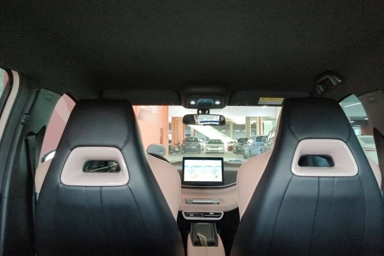 Used BYD Seagull 2023 Flying Edition Headliner