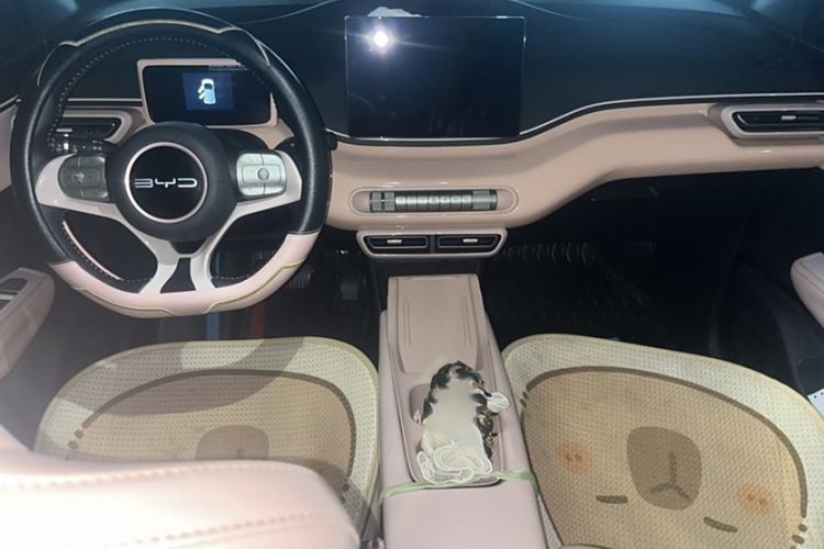 Used BYD Seagull 2023 Free Edition Interior 1