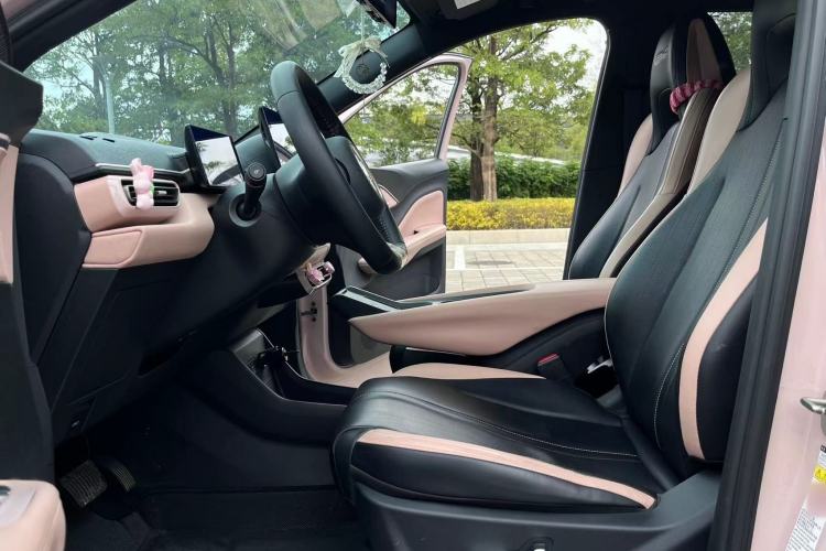 Used BYD Seagull 2023 Flying Edition Left Front Seat