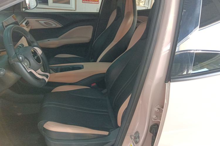 Used BYD Seagull 2023 Flying Edition Left Front Seat