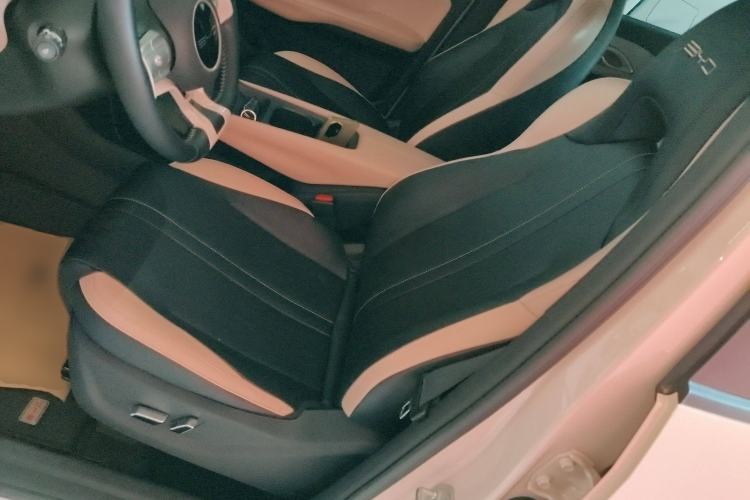 Used BYD Seagull 2023 Flying Edition Left Front Seat