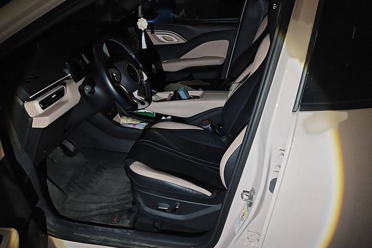 Used BYD Seagull 2023 Flying Edition Left Front Seat