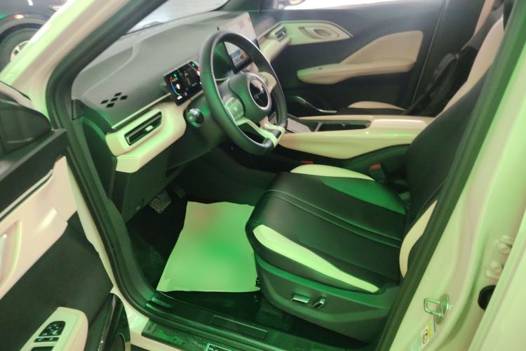 Used BYD Seagull 2023 Flying Edition Left Front Seat