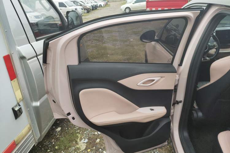 Used BYD Seagull 2023 Free Edition Left Rear Door Interior