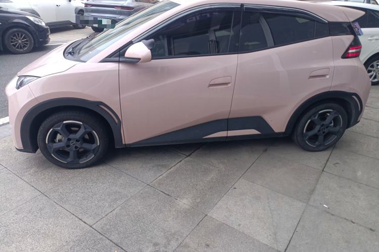 Used BYD Seagull 2023 Flying Edition Left Side
