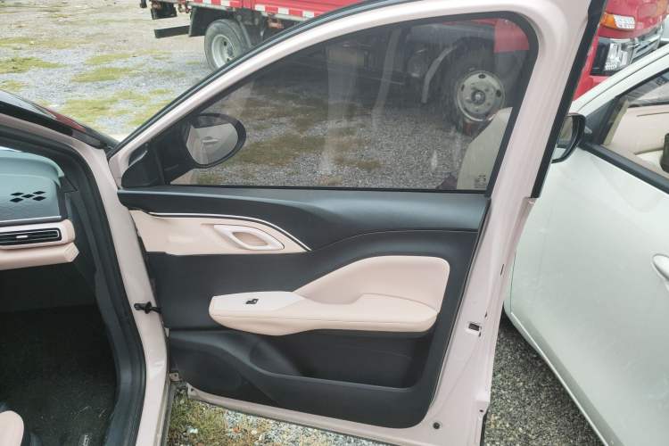 Used BYD Seagull 2023 Free Edition Right Front Door Interior