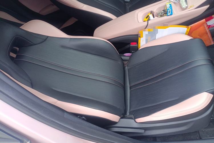Used BYD Seagull 2023 Flying Edition Right Front Seat