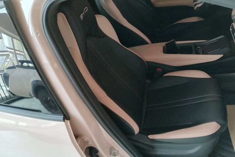 Used BYD Seagull 2023 Flying Edition Right Front Seat