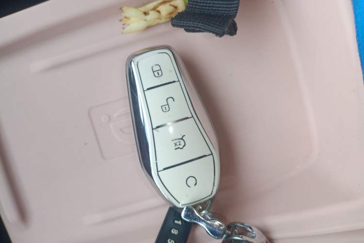 Used BYD Seagull 2023 Flying Edition Vehicle Key