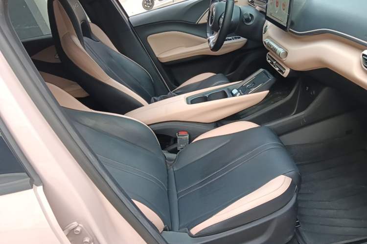 Used BYD Seagull 2023 Flying Edition Right Front Seat