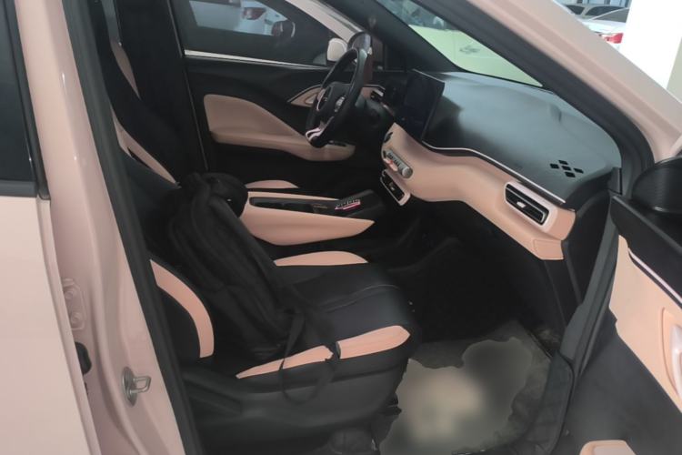 Used BYD Seagull 2023 Free Edition Right Front Seat