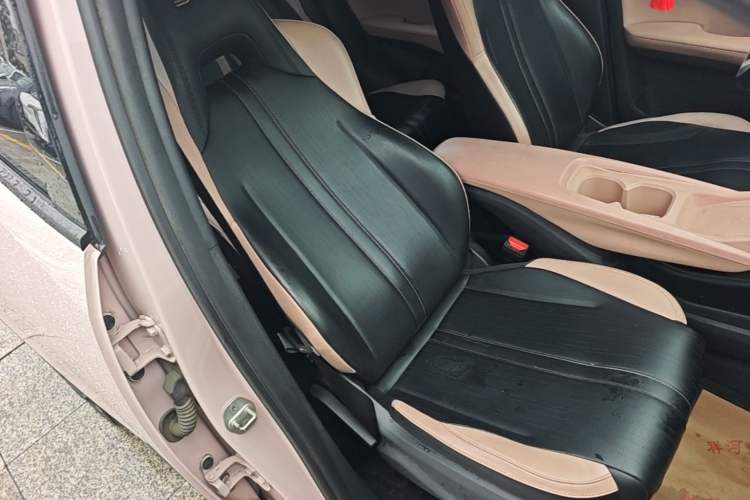 Used BYD Seagull 2023 Free Edition Right Front Seat