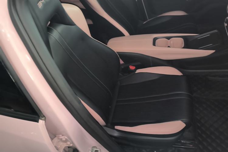 Used BYD Seagull 2023 Free Edition Right Front Seat