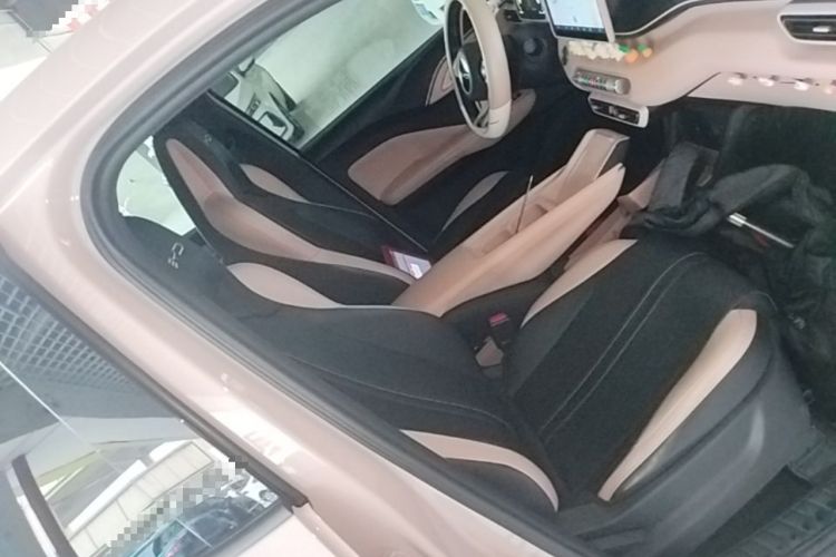 Used BYD Seagull 2023 Flying Edition Right Front Seat