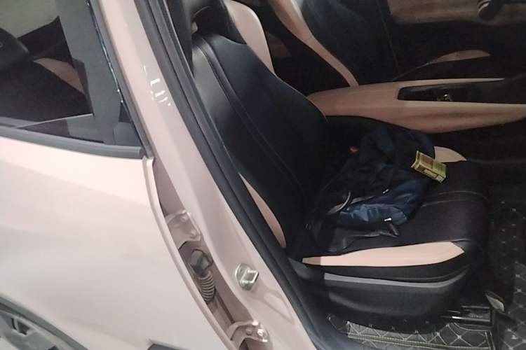 Used BYD Seagull 2023 Active Version Right Front Seat