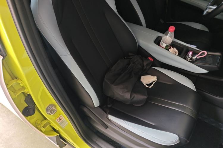 Used BYD Seagull 2023 Flying Edition Right Front Seat
