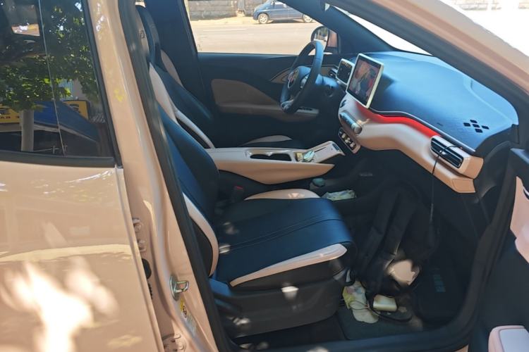 Used BYD Seagull 2023 Flying Edition Right Front Seat