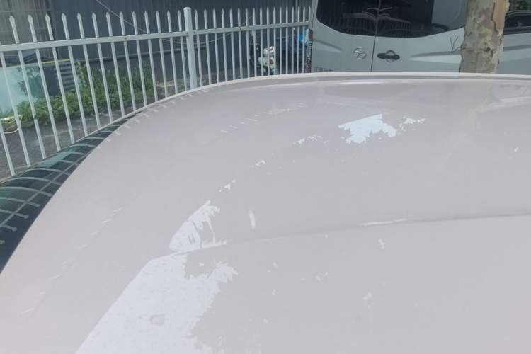 Used BYD Seagull 2023 Active Version Roof