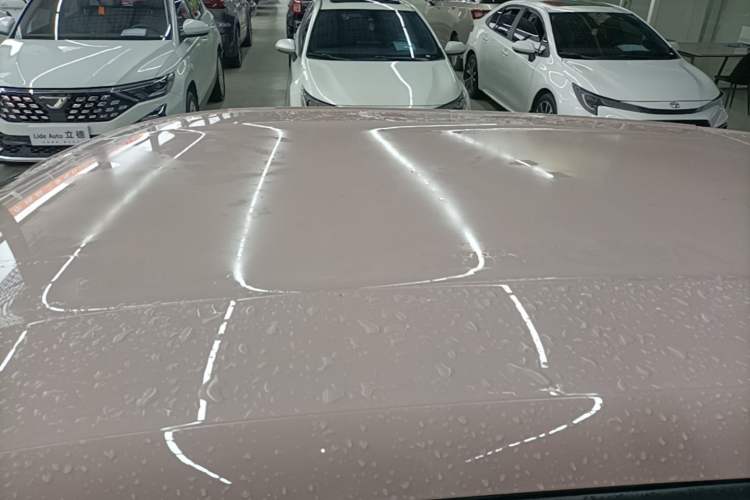 Used BYD Seagull 2023 Free Edition Roof