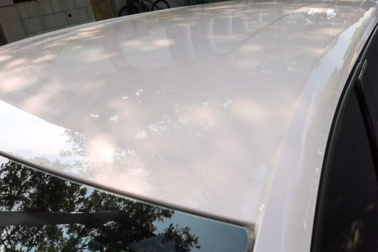 Used BYD Seagull 2023 Active Version Roof