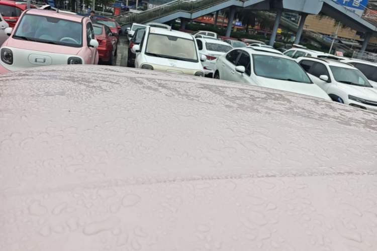 Used BYD Seagull 2023 Free Edition Roof