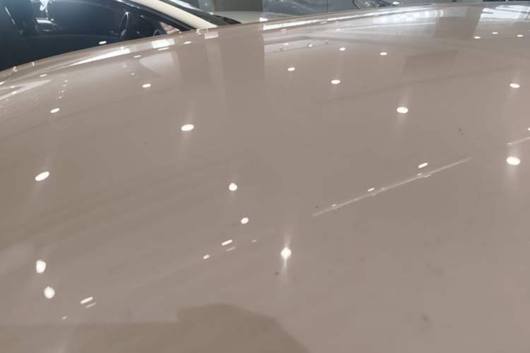 Used BYD Seagull 2023 Free Edition Roof